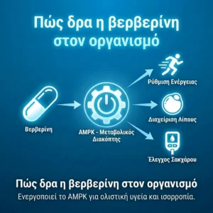 πωσ δρα η βερβερίνη